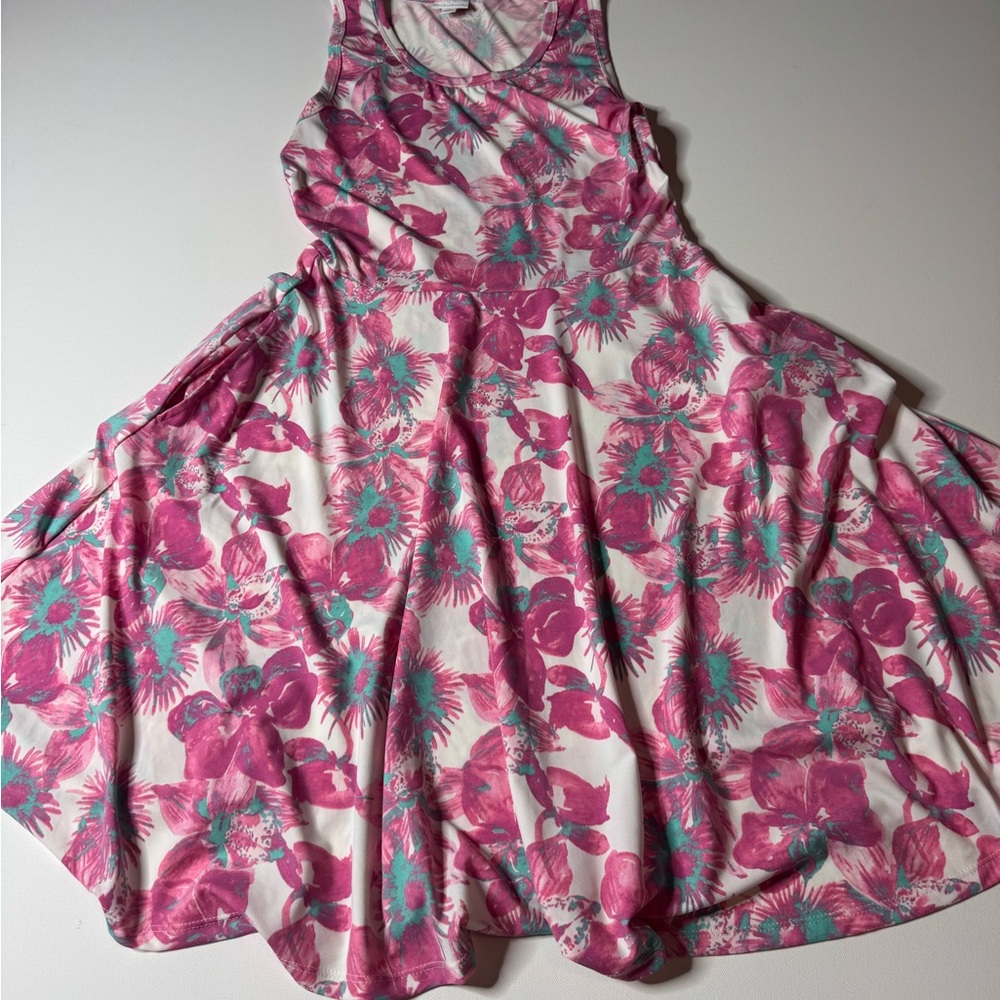 LuLaRoe Pink and Blue Floral Dress